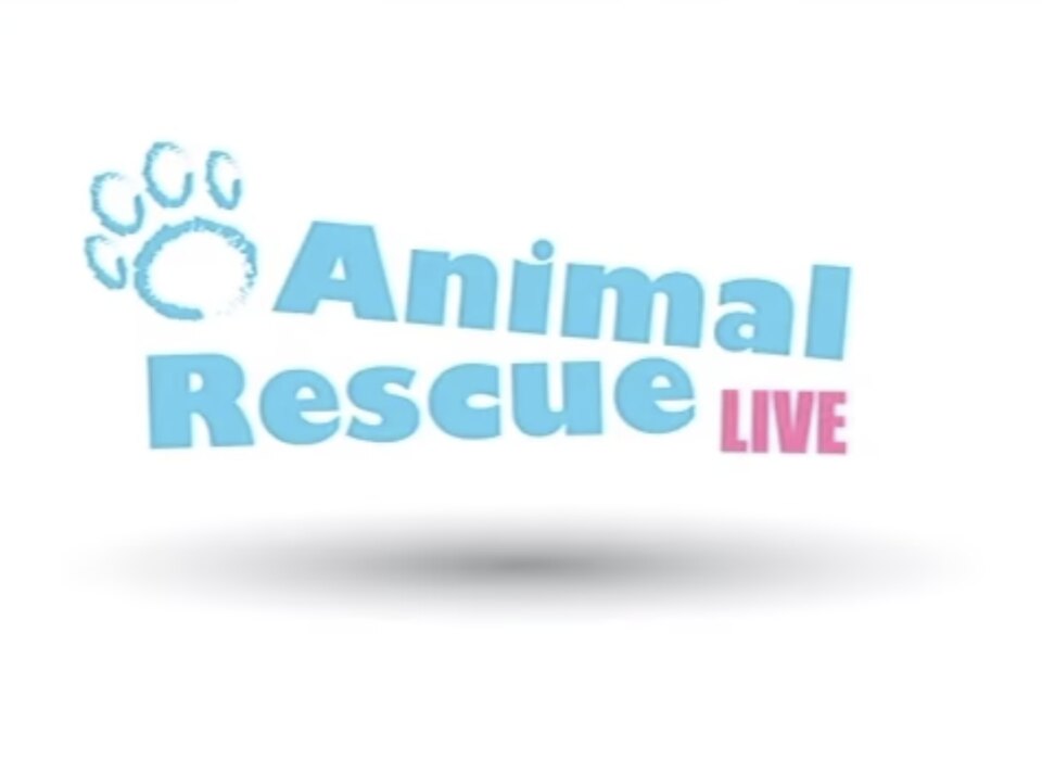 Animal Rescue Live at Battersea Dogs and Cats Home